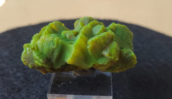 Lamellar Autunite Crystal, Shandong Provence China, buy Fluorescent Uranium Ore - 31 Grams Stabilized