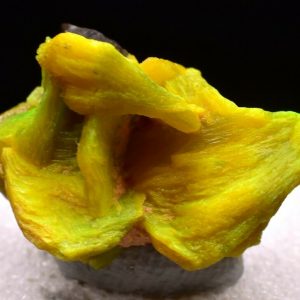 3.5g Natural Autunite Crystal Fluorescent Rare Mineral Specimen
