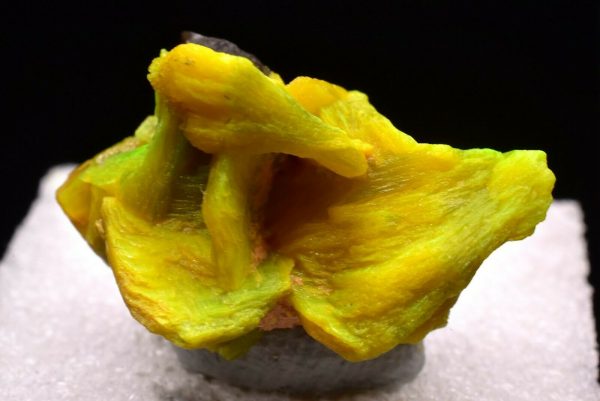 3.5g Natural Autunite Crystal Fluorescent Rare Mineral Specimen