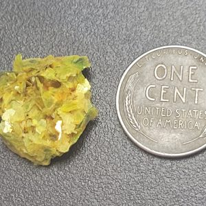 2.2g meta autunite on a turntable