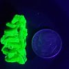 4.4g Meta-autunite Crystal Fluorescent Uranium Ore Specimen under UV light