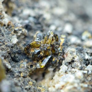 108 Gm Rare Monazite-(Ce)Crystals with Albite On matrix