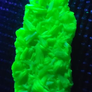 3.1g Natural Autunite Crystal Fluorescent Uranium Ore Specimen