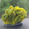 One Ounce Lamellar Autunite Crystal - Stabilized - Fluorescent Uranium Ore Specimen