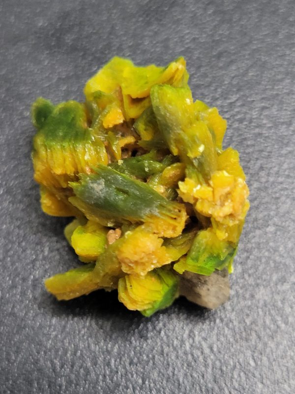 Gnarly 7g Autunite Crystal, Shandong Province PRC