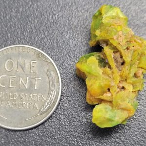 3.4g Meta-autunite specimen for sale