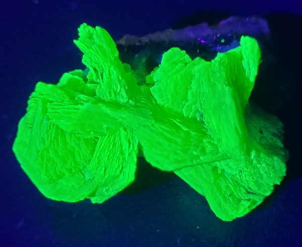 4 gram  Meta-autunite Crystal on matrix