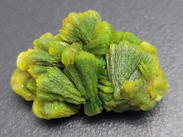 9 gram lamellar autunite specimen
