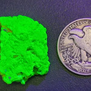 19g meta-autunite specimen