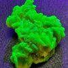 3.7g Meta-Autunite Crystal Zibo Shandong Provence China