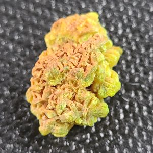 3g Meta-autunite Crystal Fluorescent Uranium Ore Specimen, Stabilized