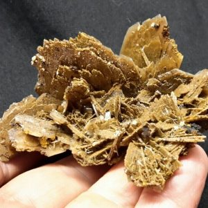 3" BARITE from the Mibladen Mining District, Khénifra, Morocco.