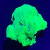 4g Autunite / Meta-autunite with Matrix Shandong Province China, Fluorescent Uranium Ore on display for sale