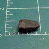 Chelyabinsk Meteorite Individual (LL5 Chondrite)