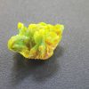 4.5g Autunite Crystal - Fluorescent Uranium Ore, Shandong Provence, P.R.C