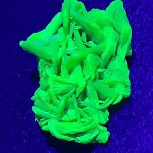 Autunite from China - Fluorescent Uranium Ore - 2g Specimen