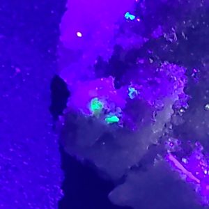 Nováčekite crystals on gypsum matrix