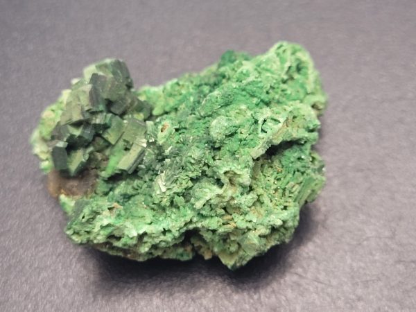 Torbernite - Margabal Mine, France - Fluorescent Uranium Ore - 24 Grams