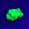 1.6g Autunite Crystal - Fluorescent Uranium Ore, Shandong Provence, P.R.C.