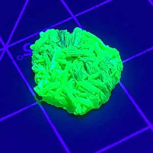 1.3g Autunite Crystals on Matrix - Fluorescent Uranium Ore, Shandong Provence