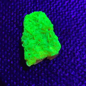 Autunite / Meta-autunite on Matrix Shandong Province China, Fluorescent Uranium Ore
