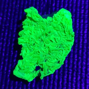 Autunite / Meta-autunite on Matrix Shandong Province China, Fluorescent Uranium Ore