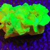 3g Lamellar Autunite Crystal, Stabilized- Fluorescent Uranium Ore - China