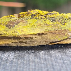 Phurcalite and Antlerite Crystals on Matrix- Posey mine, Utah (USA)