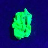 2..4g Autunite / Meta-autunite Crystal, Stabilized- Fluorescent Uranium Ore