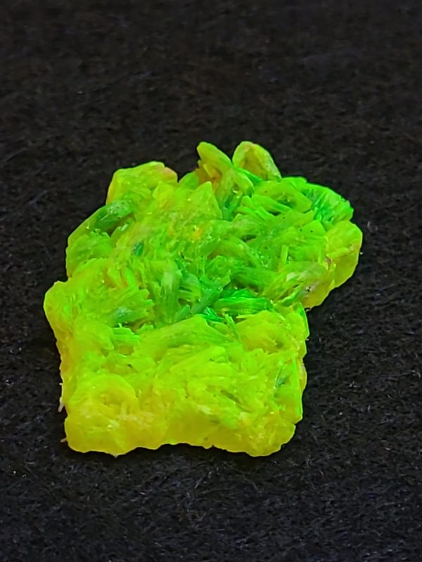 buy Autunite Crystal - Fluorescent Uranium Ore, fromShandong Provence, China - 2.6 Grams Stabilized