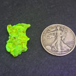 Autunite / Meta-Autunite Crystal, Stabilized- Fluorescent Uranium Ore - China - 4 Grams