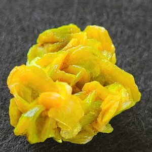 Autunite / Meta-Autunite Crystal, Stabilized- Fluorescent Uranium Ore - China - 2.7 Grams