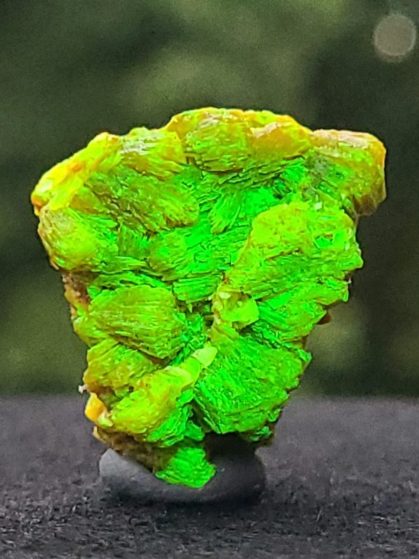 Meta-autunite Crystal - Stabilized - Fluorescent Uranium Ore China - 9.6 Grams