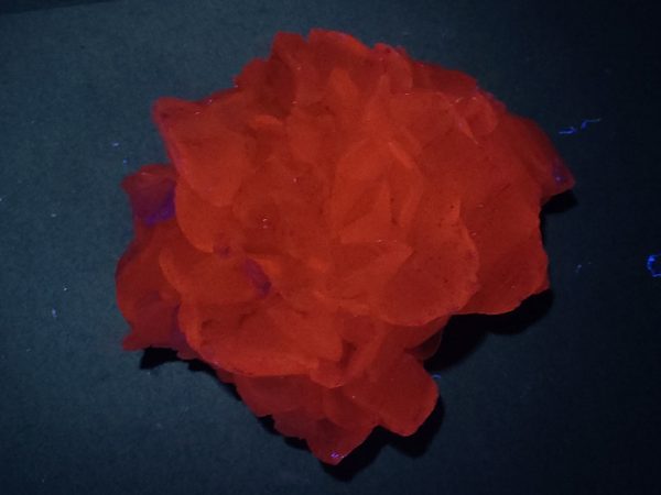 Fluorescent Pink Calcite Flower Specimen 370 grams