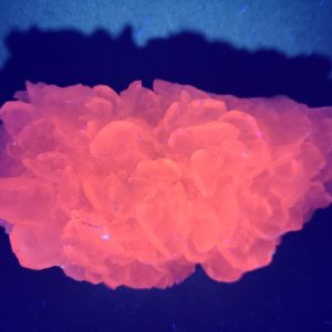 Fluorescent Pink Calcite Flower Specimen 325 grams - China