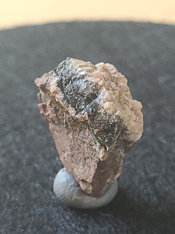 Uraninite in Matrix- Uranium Mine No. 4, Lešetice, Czech Republic - Uranium Ore