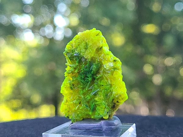 Autunite Crystal - Fluorescent Uranium Ore, Shandong Provence, China - 10 Grams Stabilized