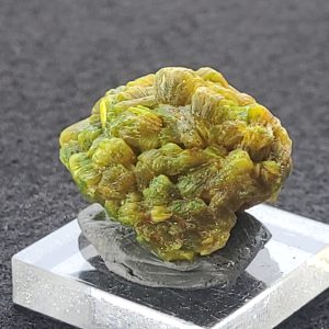 Autunite / Meta-Autunite Crystal, Stabilized- Fluorescent Uranium Ore, 8.6 Grams