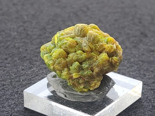 Autunite / Meta-Autunite Crystal, Stabilized- Fluorescent Uranium Ore, 8.6 Grams