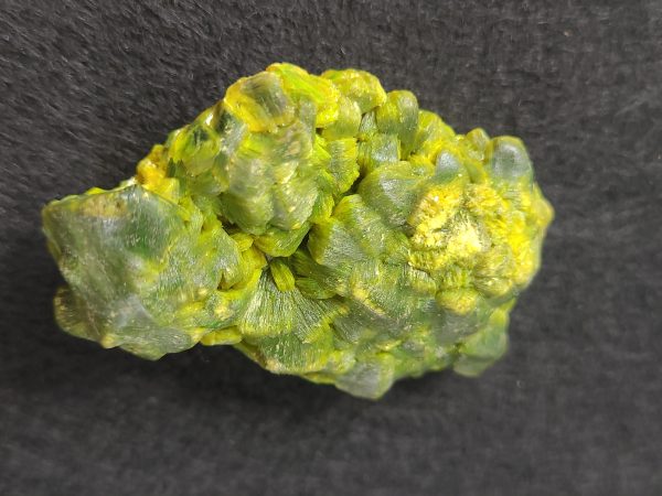 One Ounce Autunite Crystal, Fluorescent Uranium Ore Specimen - China