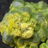 One Ounce Autunite Crystal, Fluorescent Uranium Ore Specimen - China