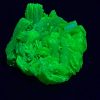 Autunite / Meta-Autunite Crystal, Stabilized- Fluorescent Uranium Ore, 1.3 Grams - China