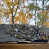 Radian Barite Crystals on Matrix - Lahost, Czech Republic