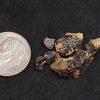 REE Mineral Assortment: Fergusonite-(y), Betafite and Samarskite-(y) - Rare Earth Element Source