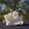 Hydrozincite Crystal Formation, 41 Grams - Hubei China