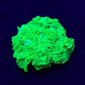 Autunite / Meta-Autunite Crystal, Stabilized- Fluorescent Uranium Ore, 5.4 Grams