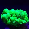 Autunite / Meta-Autunite Crystal on Matrix - Fluorescent Uranium Ore - 7 Grams