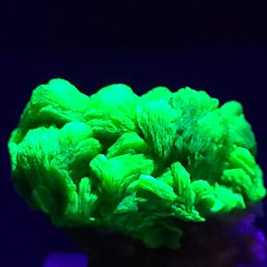 Autunite / Meta-Autunite Crystal on Matrix - Fluorescent Uranium Ore - 7 Grams