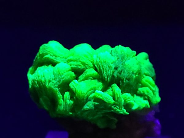 Autunite / Meta-Autunite Crystal on Matrix - Fluorescent Uranium Ore - 7 Grams