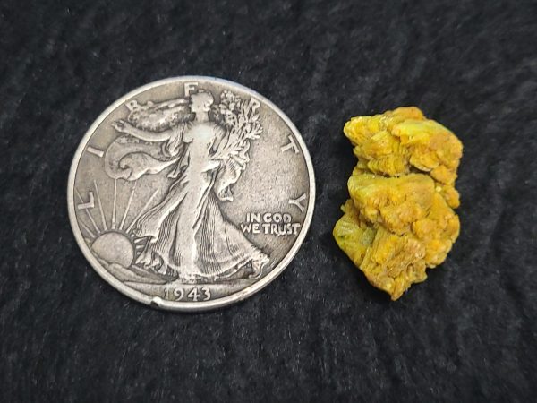 Autunite / Meta-Autunite Crystal - Fluorescent Uranium Ore - 2.6 Grams